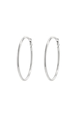 Stainless Steel Hoop Earrings silver color