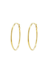 Stainless Steel Hoop Earrings Gold color