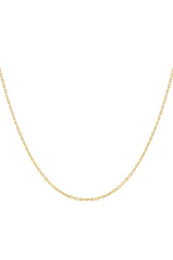 Stainless Steel Necklas Gold color